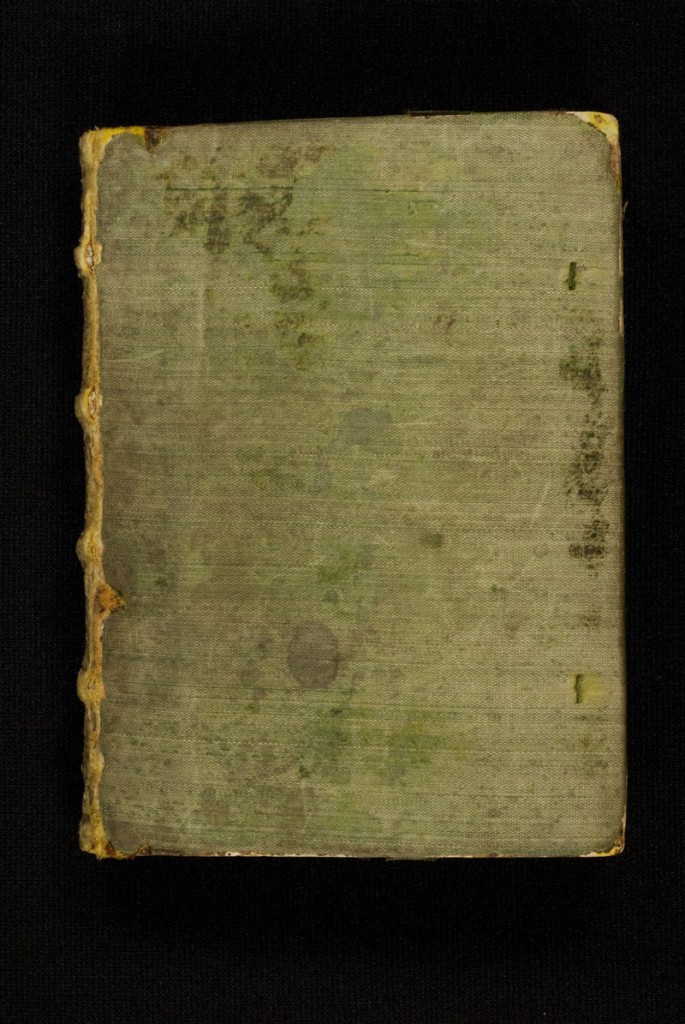 DuBourg Book of Hours (351236)