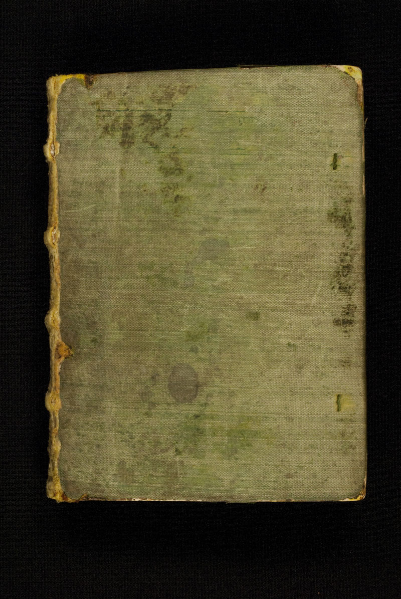 DuBourg Book of Hours (351236)