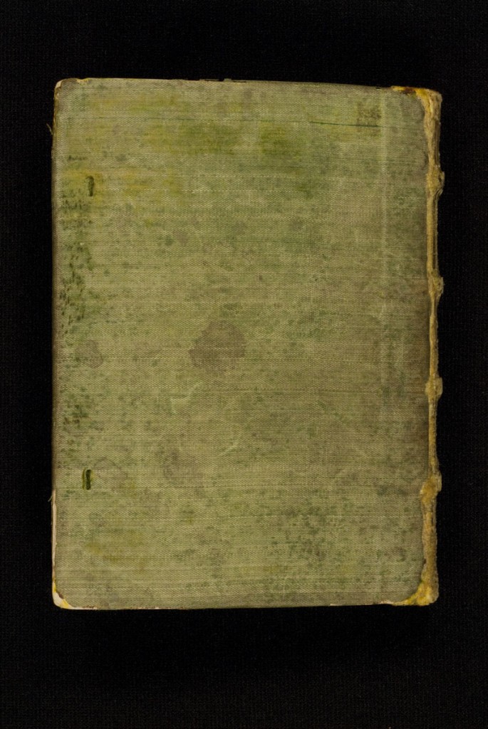 DuBourg Book of Hours (351237)