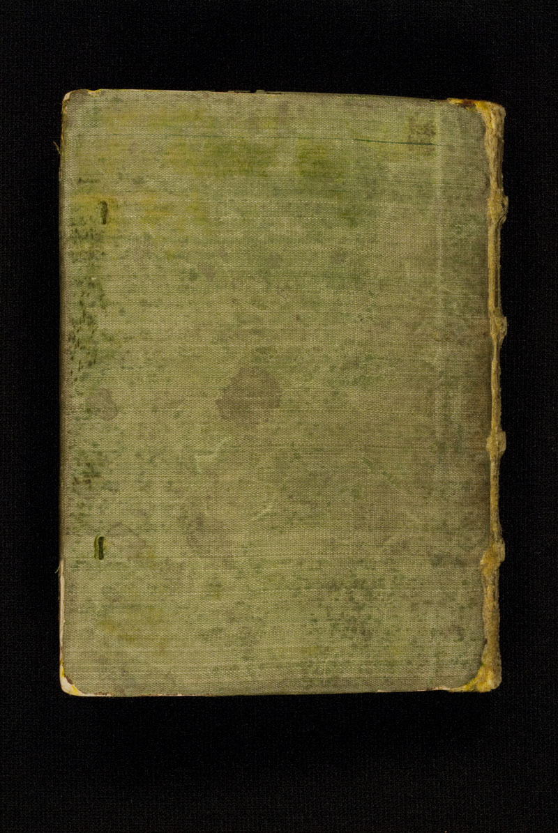 DuBourg Book of Hours (351237)