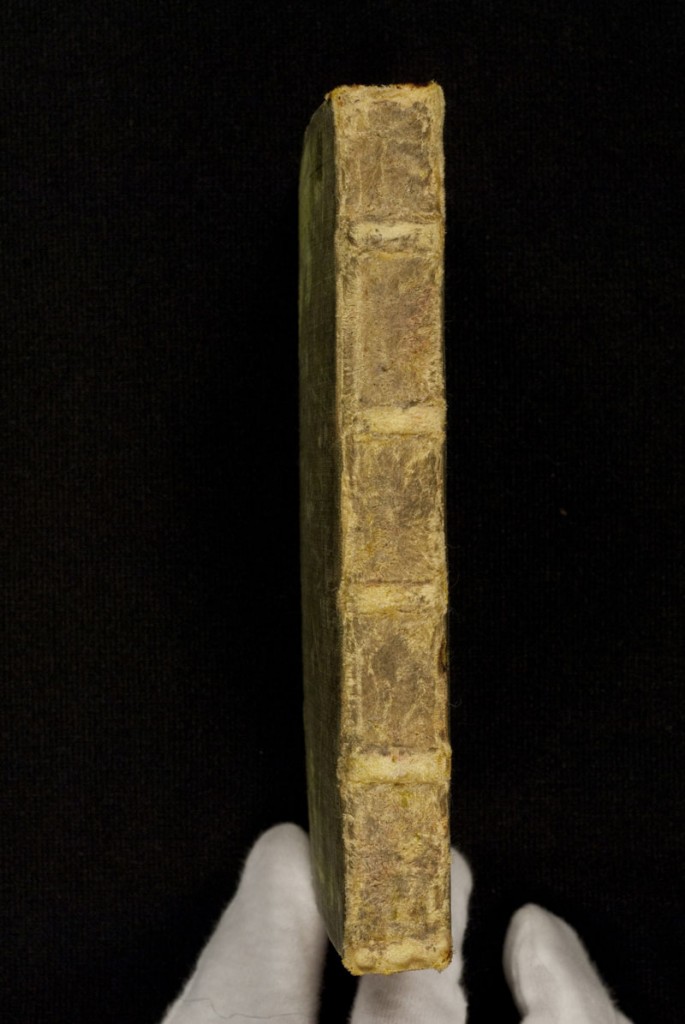 DuBourg Book of Hours (351238)