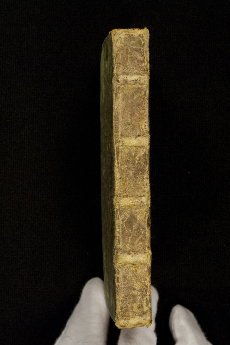 DuBourg Book of Hours (351238)