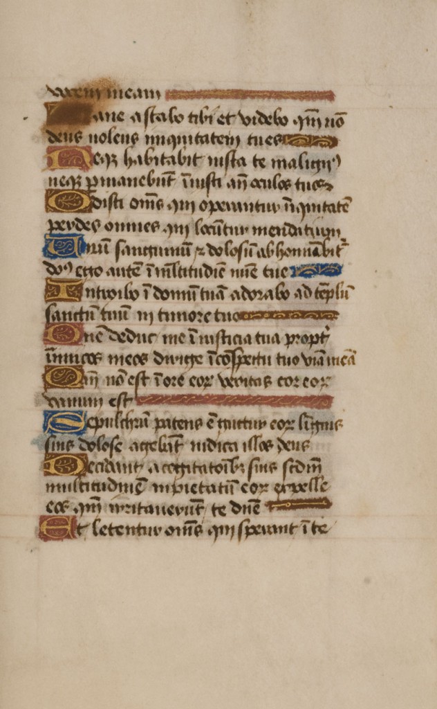 DuBourg Book of Hours (351250)