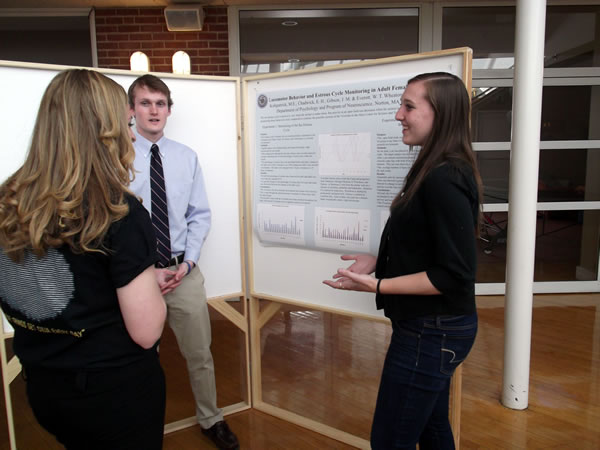 Academic Fest 2012
