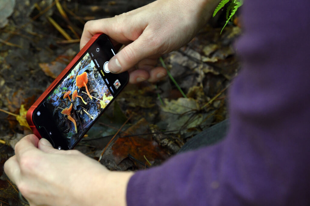 Alumna mycologist presents lecture on fungi