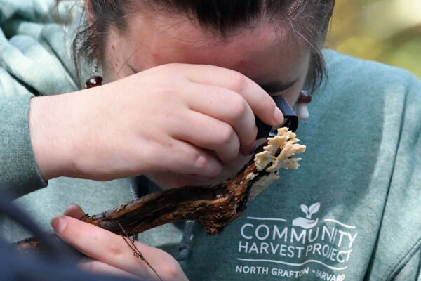 Alumna mycologist presents lecture on fungi