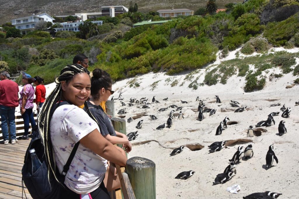 Study abroad in South Africa