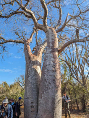 Madagascar study abroad trip 2023 10