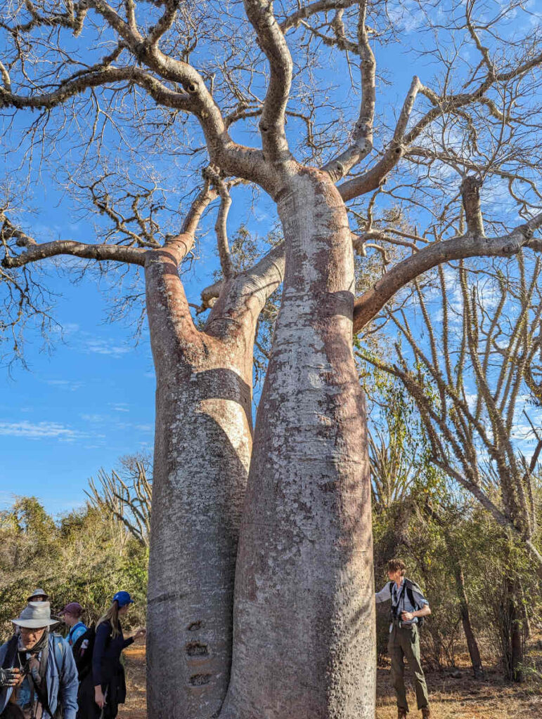 Madagascar study abroad trip 2023 10