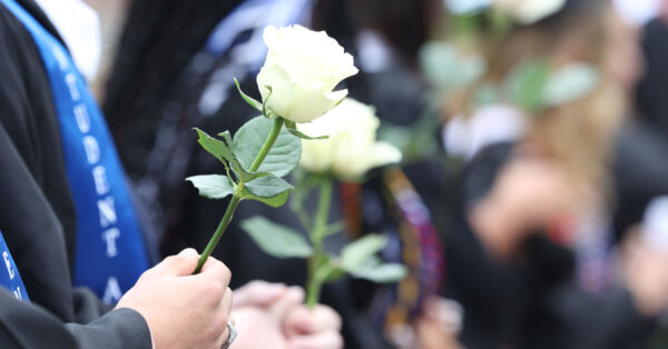 A close-up of two white roses held by graduates.