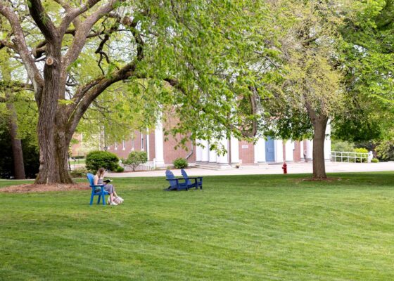 A student is seated in an Adirondak chair reading a book underneath an elm tree in 2024.