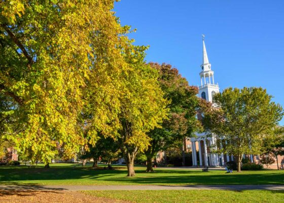 A grove of mature trees with leaves turning yellow, gold, orange and red stand with a chapel steeple in the background and a blue sky above.