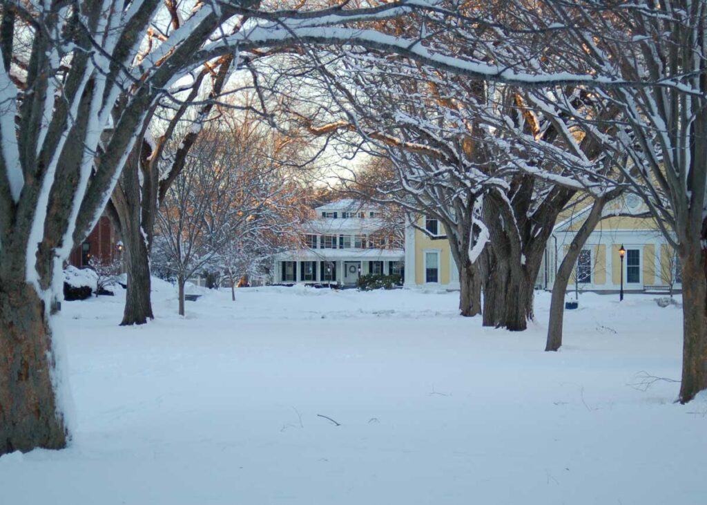 Bare branches, some capped with snow, frame a view of a white house with the ground covered by snow.