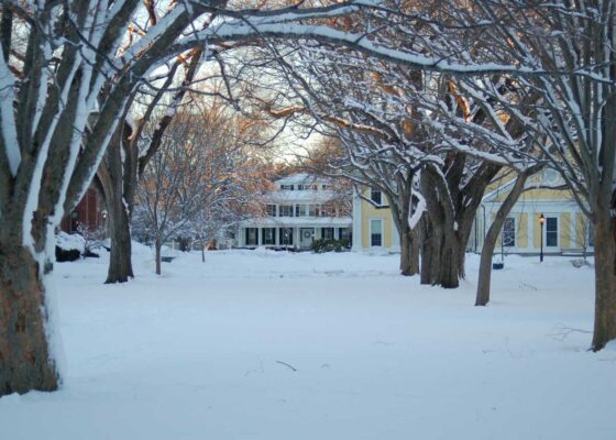 Bare branches, some capped with snow, frame a view of a white house with the ground covered by snow.